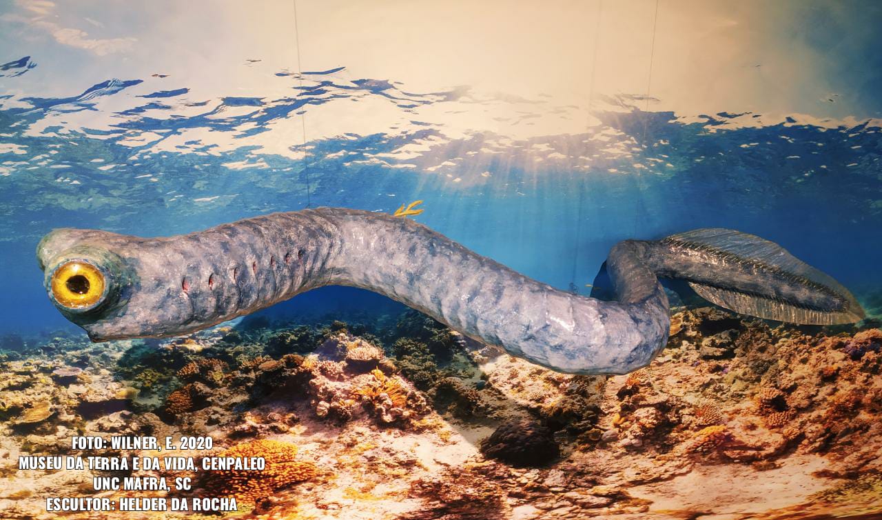 reconstituição conodonte mafra.jpg